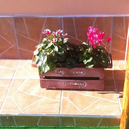 לינה וארוחת בוקר La Casa Dei Nonni *