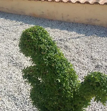 La Casa Dei Nonni לינה וארוחת בוקר קמפניה