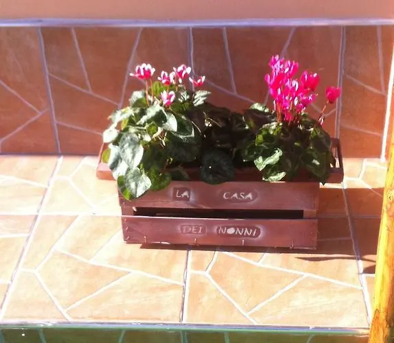 Panzió La Casa Dei Nonni *