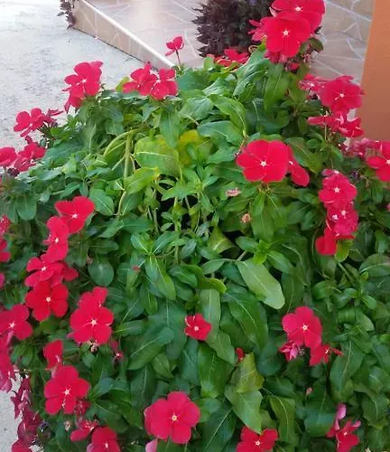 La Casa Dei Nonni Panzió